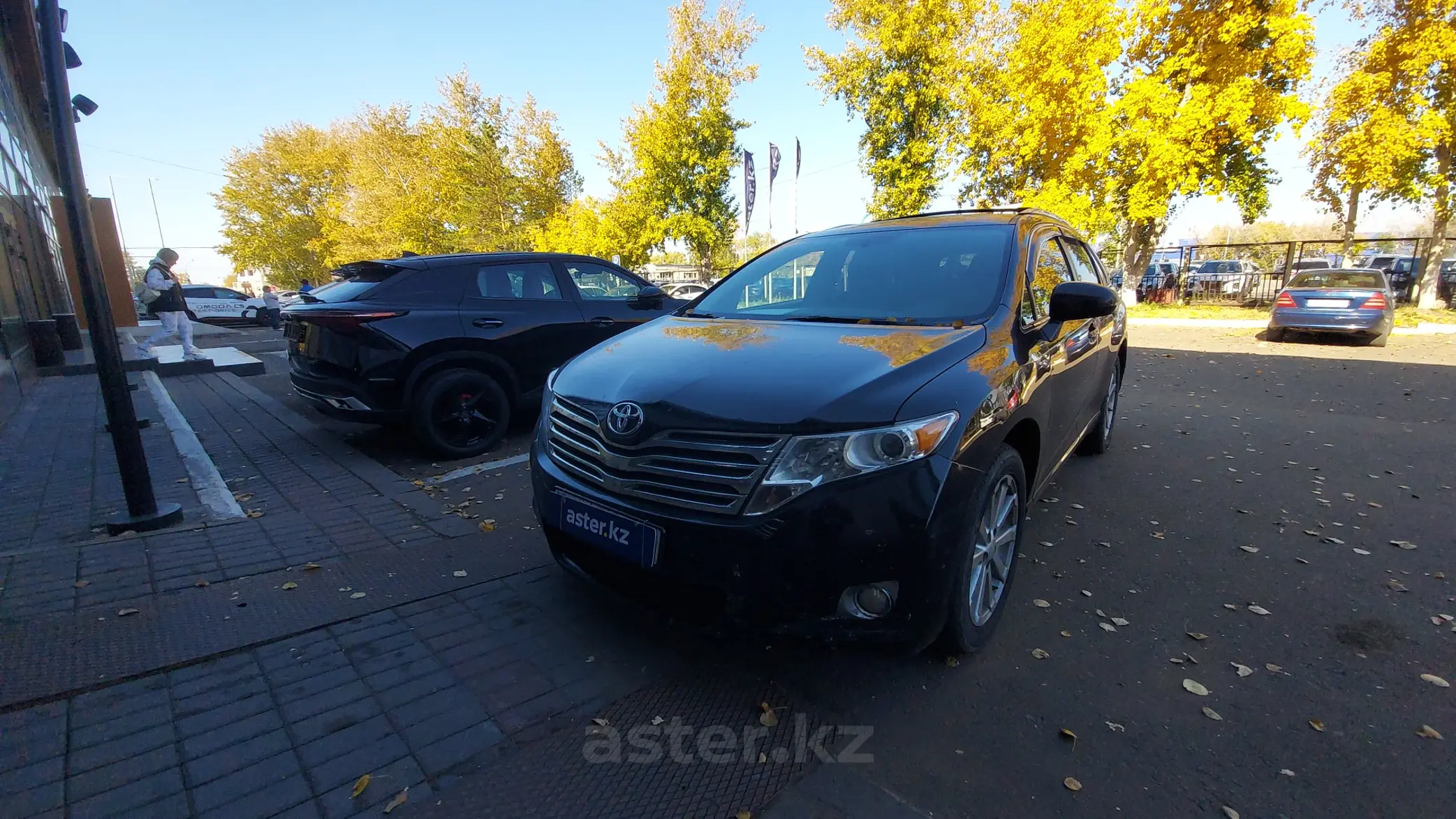 Toyota Venza 2010