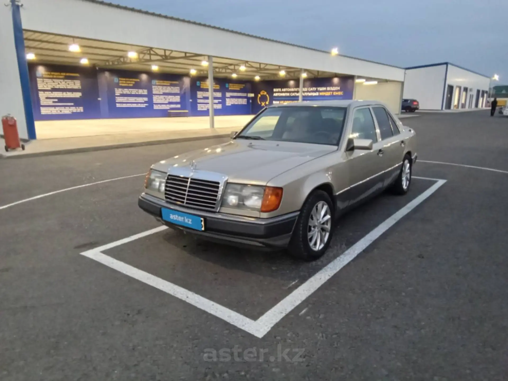 Mercedes-Benz W124 1989