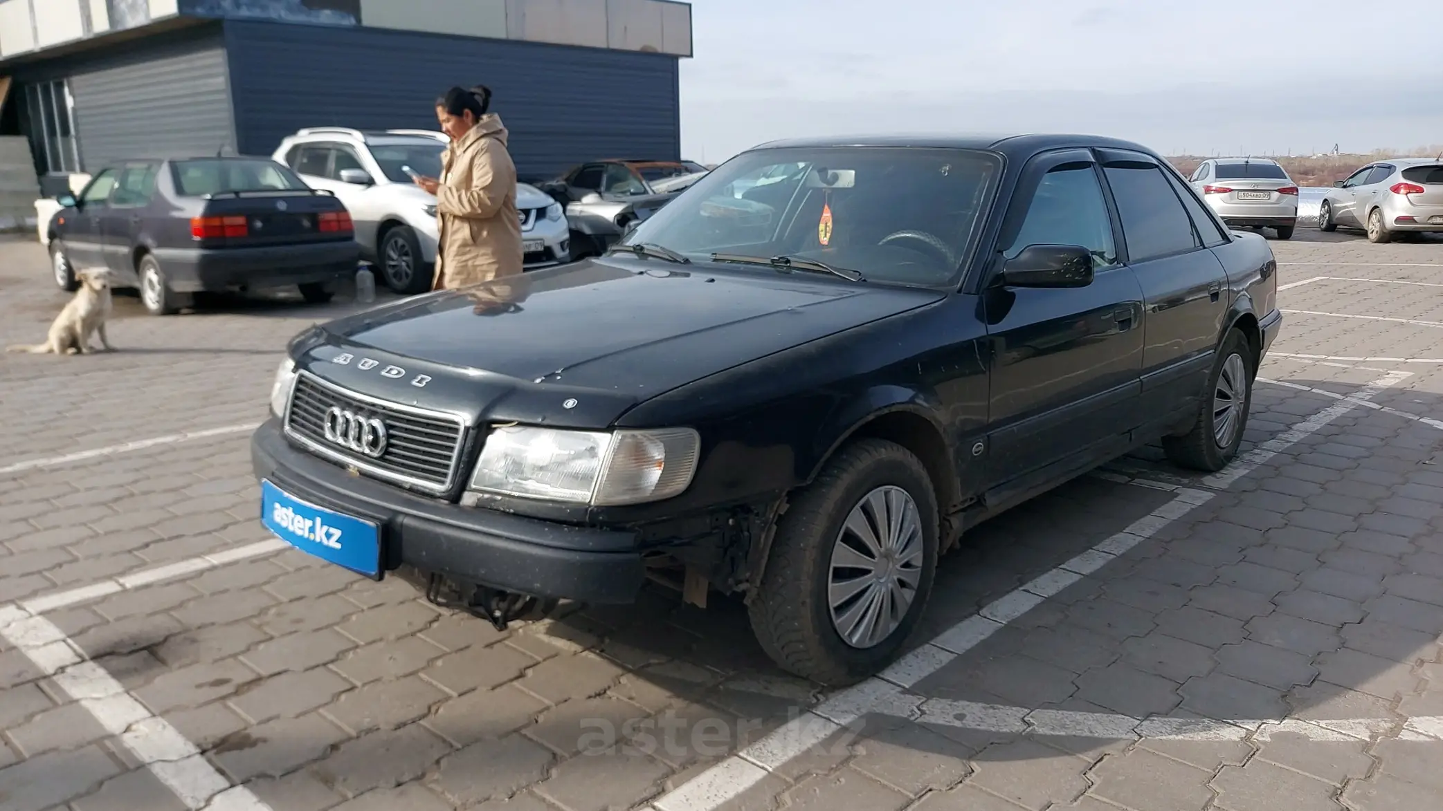 Audi 100 1991