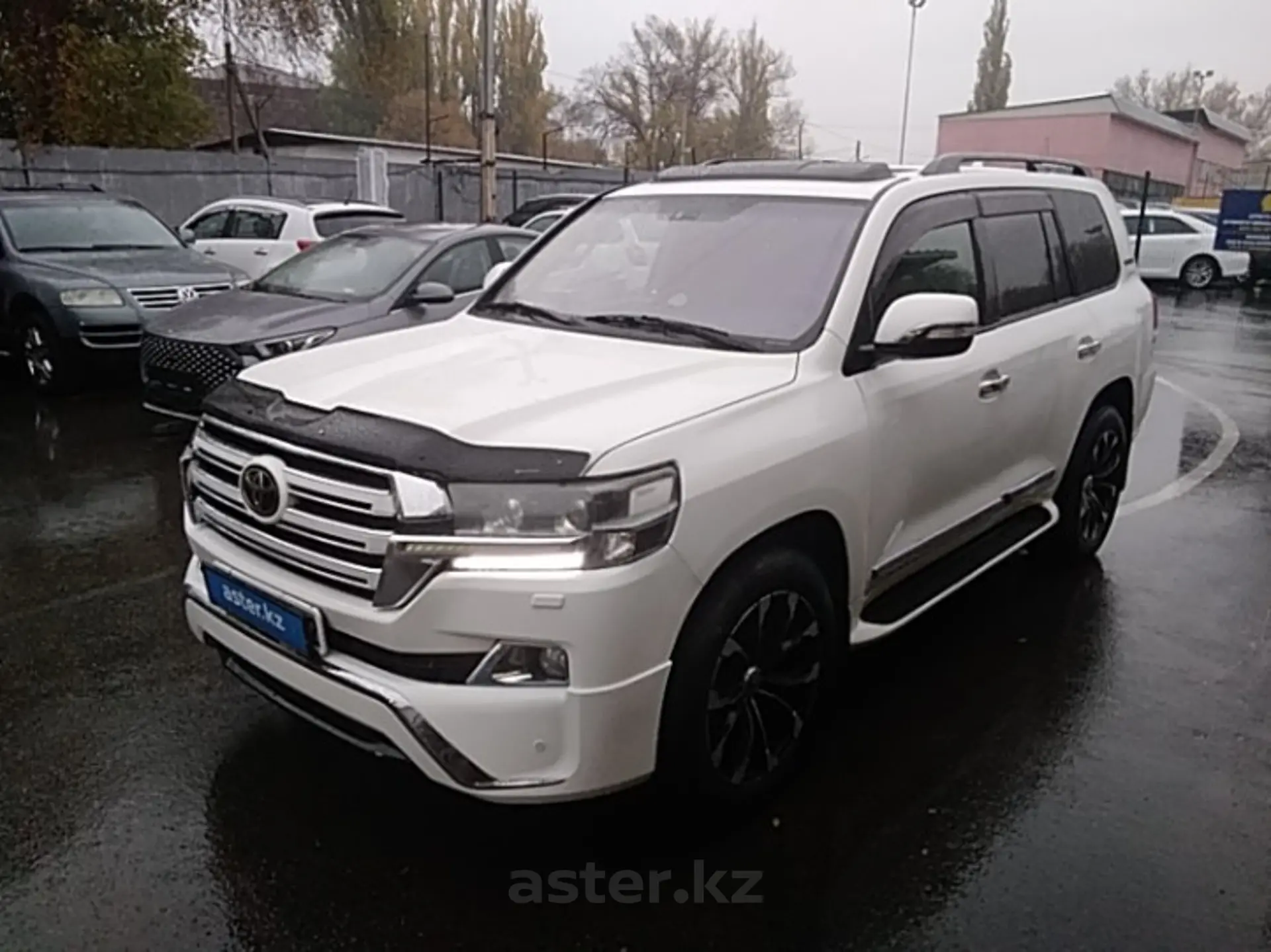 Toyota Land Cruiser 2010