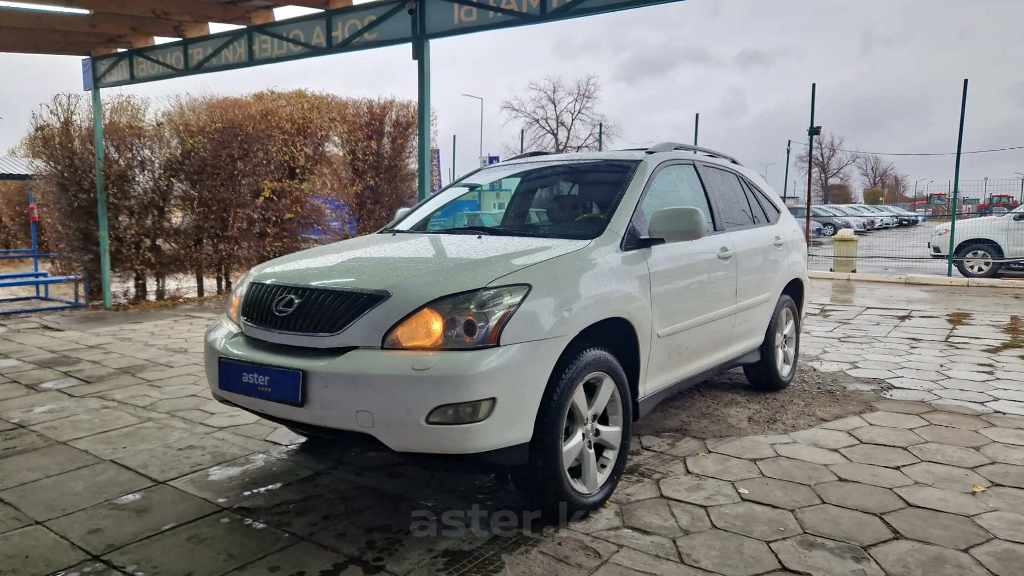 Lexus RX 2004