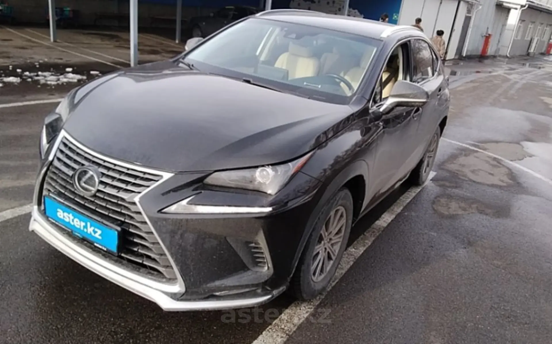 Lexus NX 2019