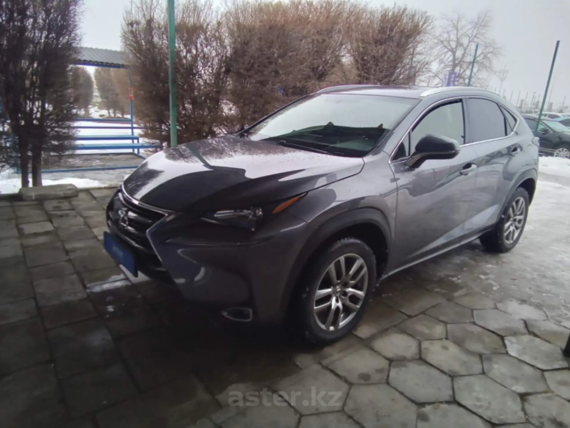 Lexus NX 2016