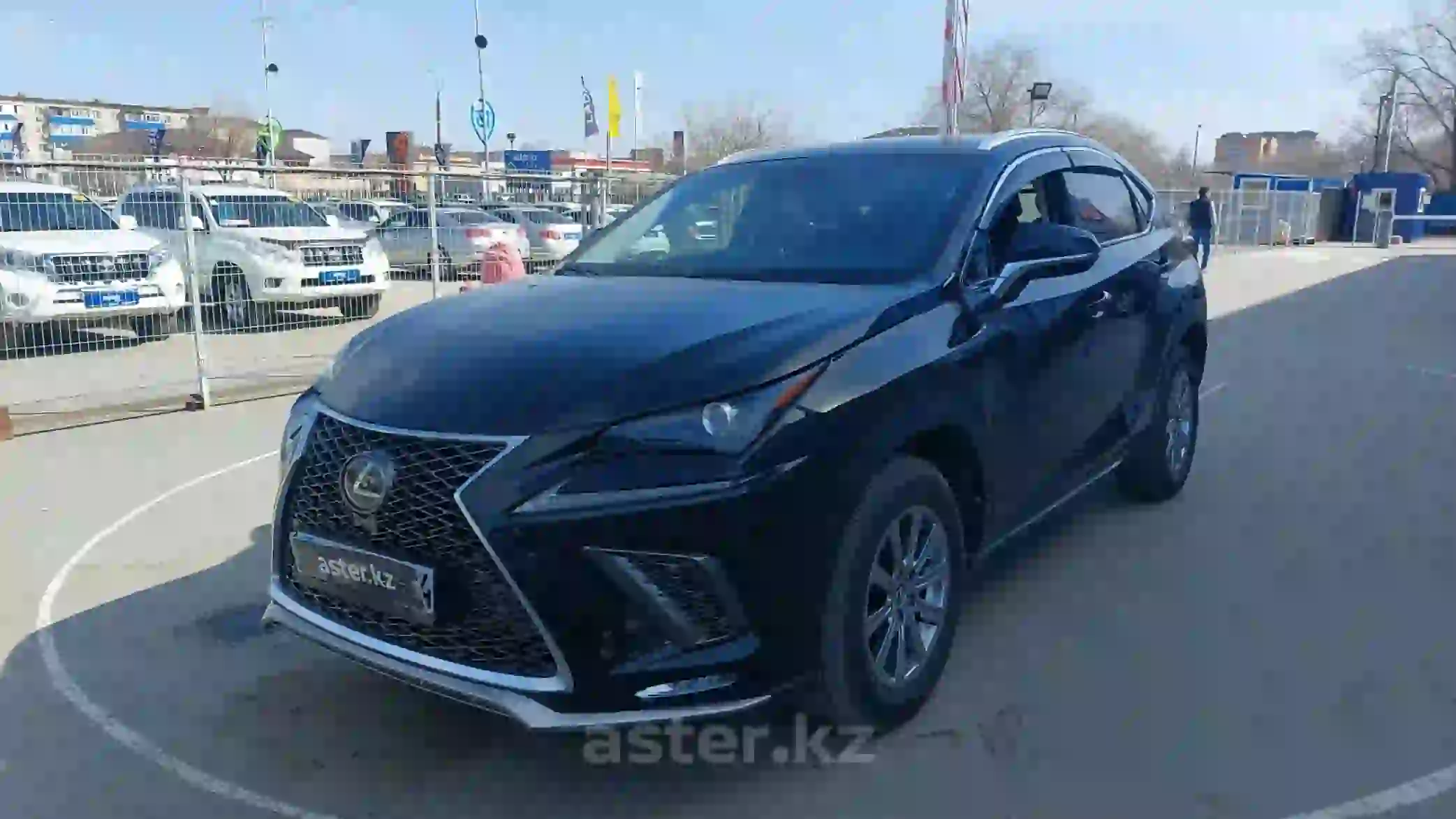 Lexus NX 2020