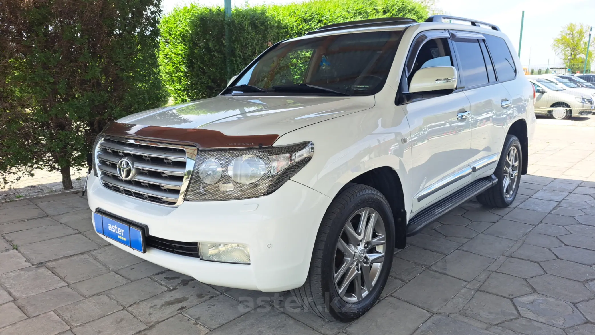 Toyota Land Cruiser 2010