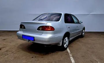 Toyota Corolla 2001 года за 2 120 000 тг. в Алматы