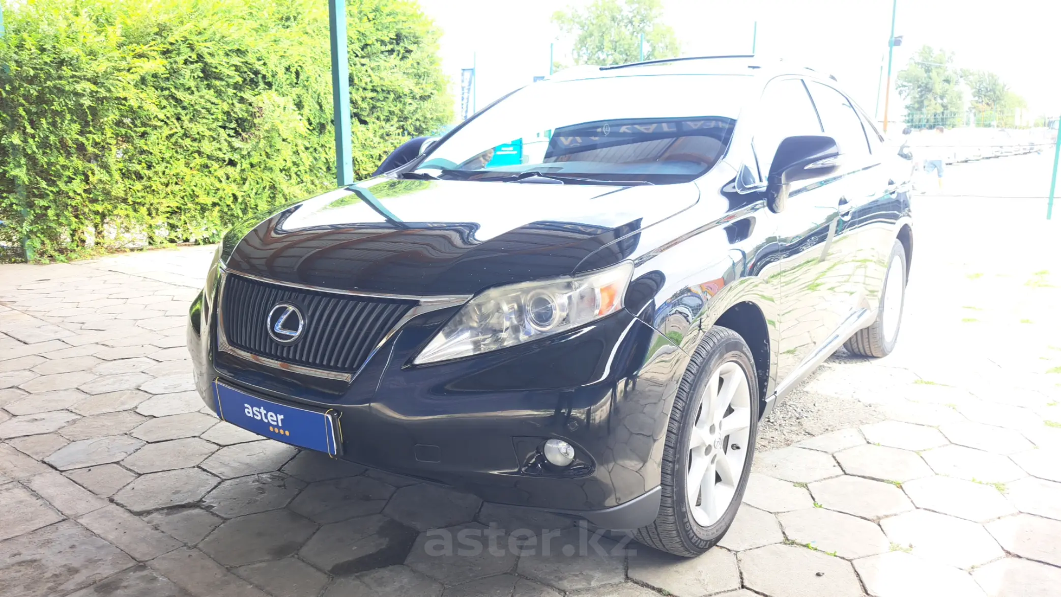 Lexus RX 2010