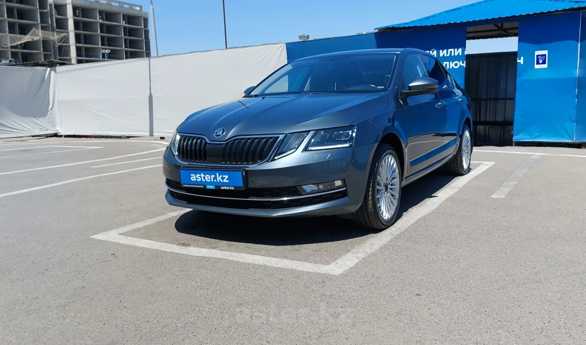 Купить Skoda Octavia 2019 года в Алматы, цена 10000000 тенге. Продажа Skoda  Octavia в Алматы - Aster.kz. №c862485