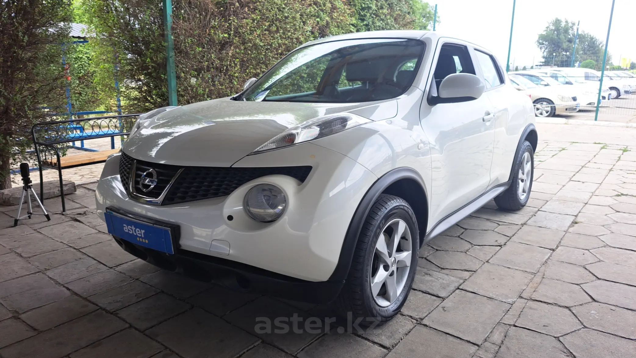 Nissan Juke 2013