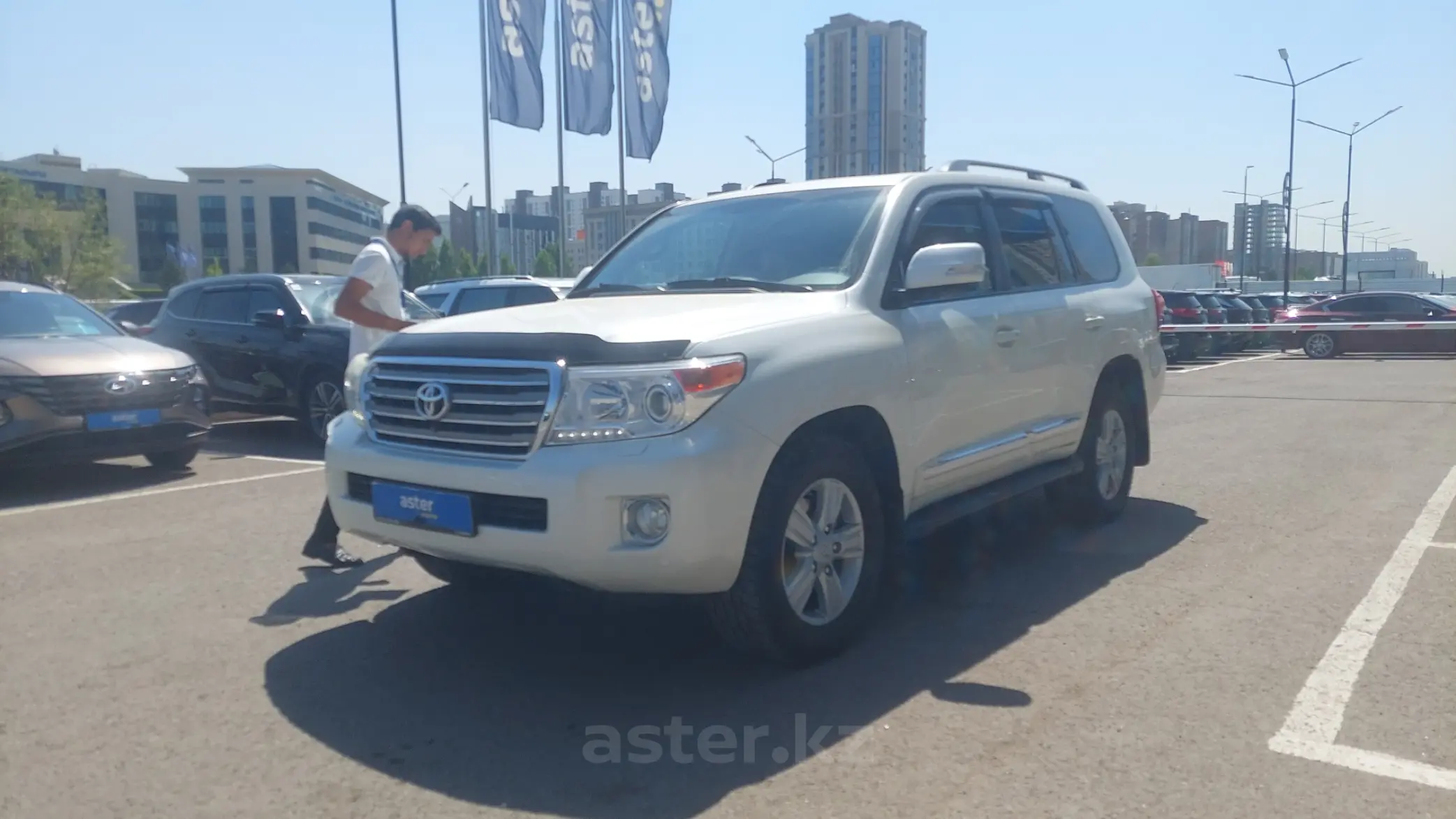 Toyota Land Cruiser 2013