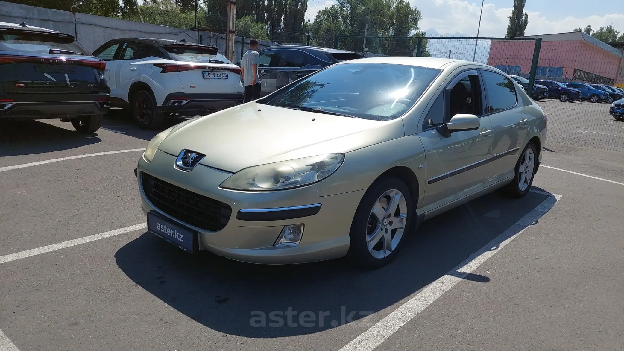 Peugeot 407 2005