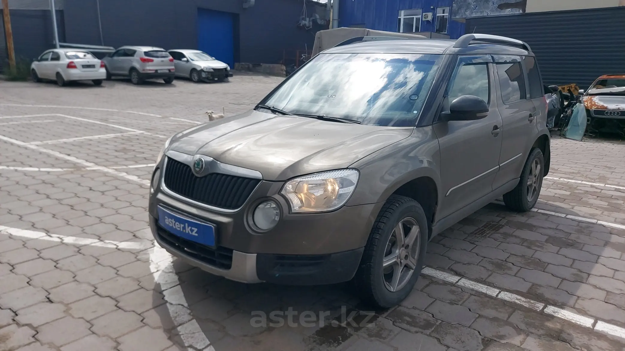 Skoda Yeti 2013