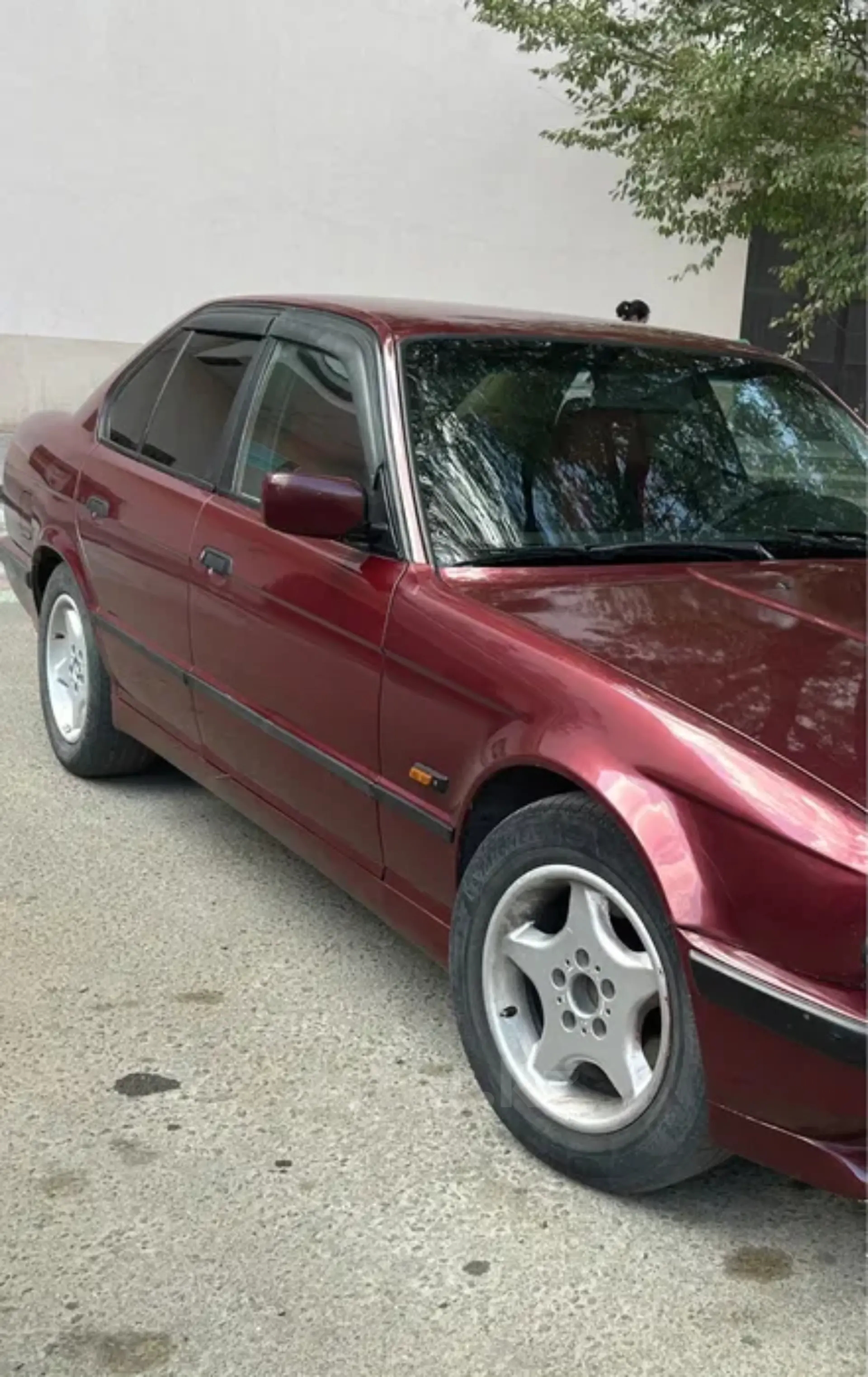 BMW 5 серии 1995