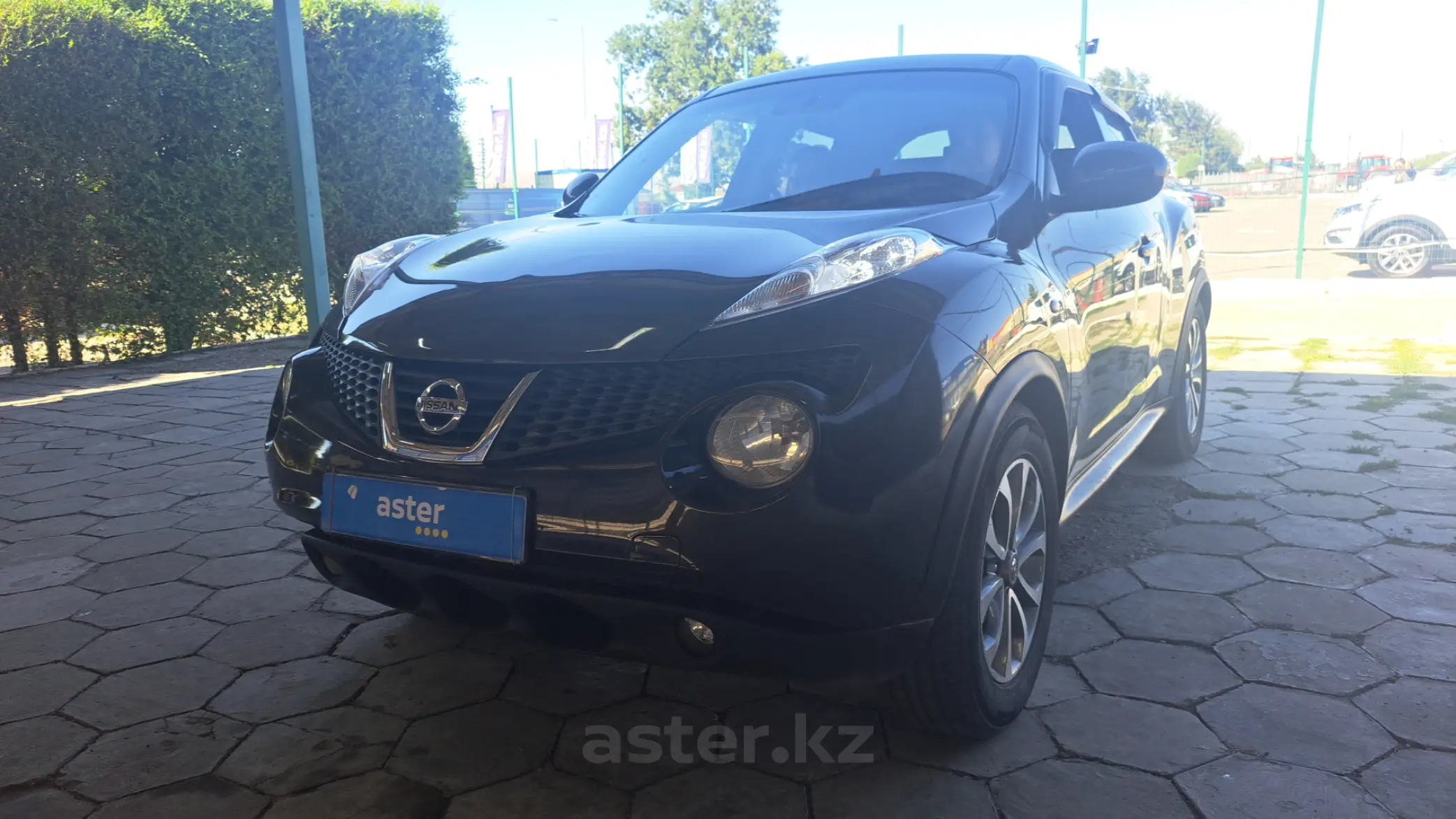 Nissan Juke 2013