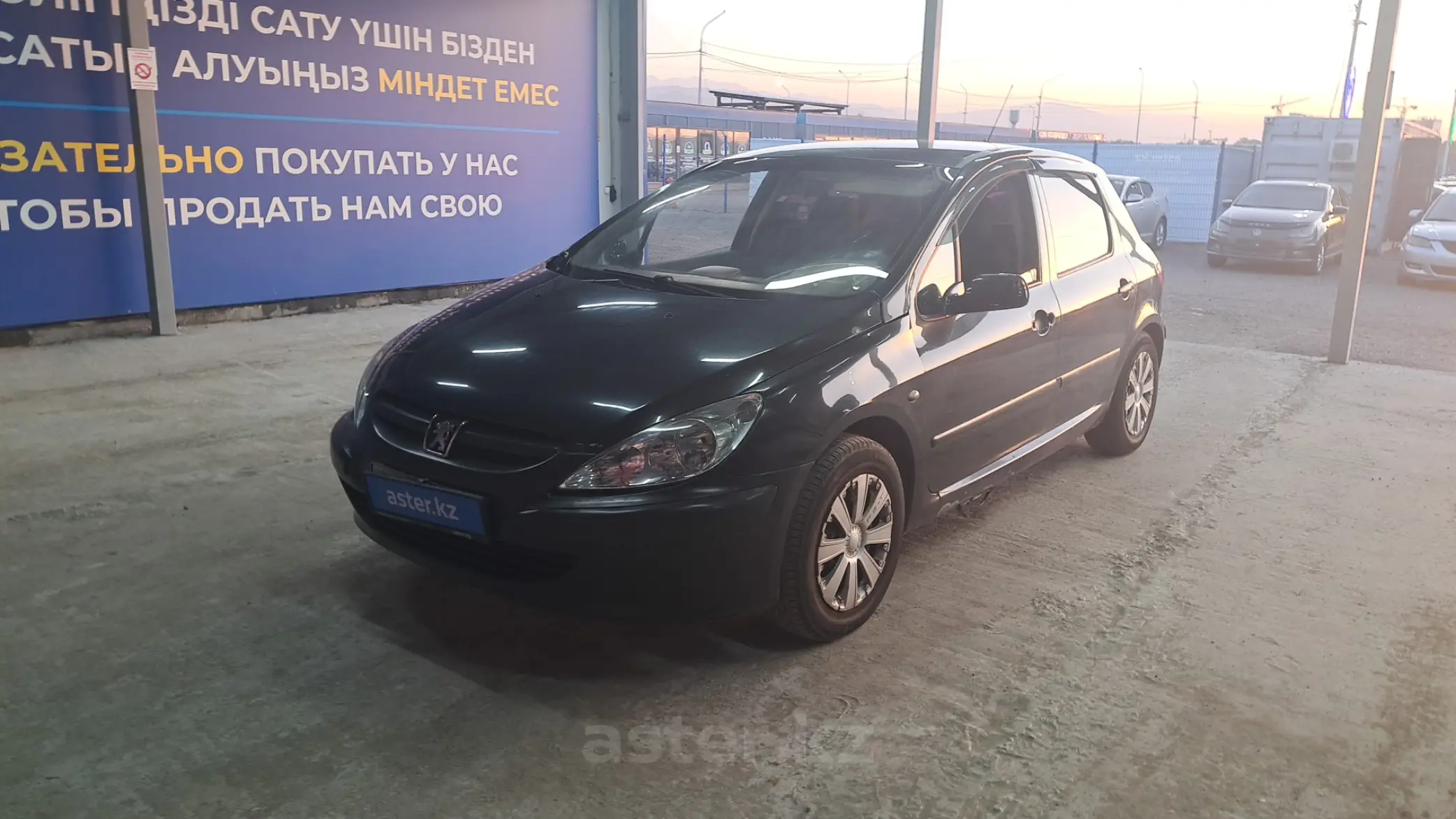 Peugeot 307 2002