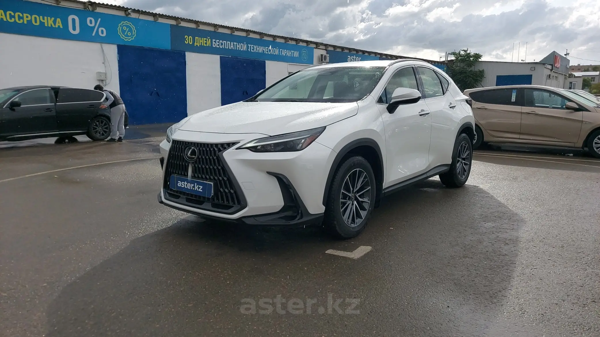 Lexus NX 2022