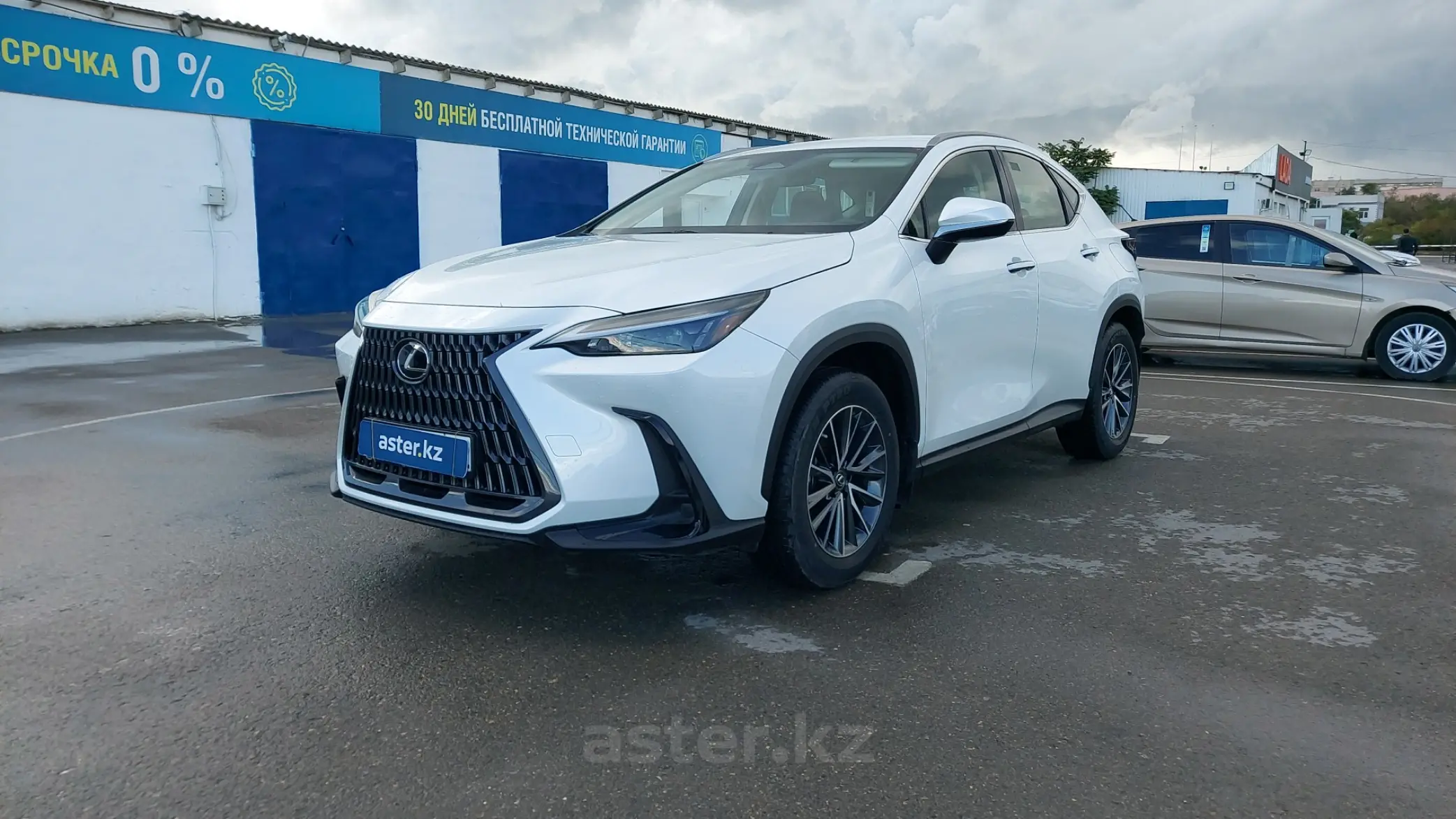 Lexus NX 2022