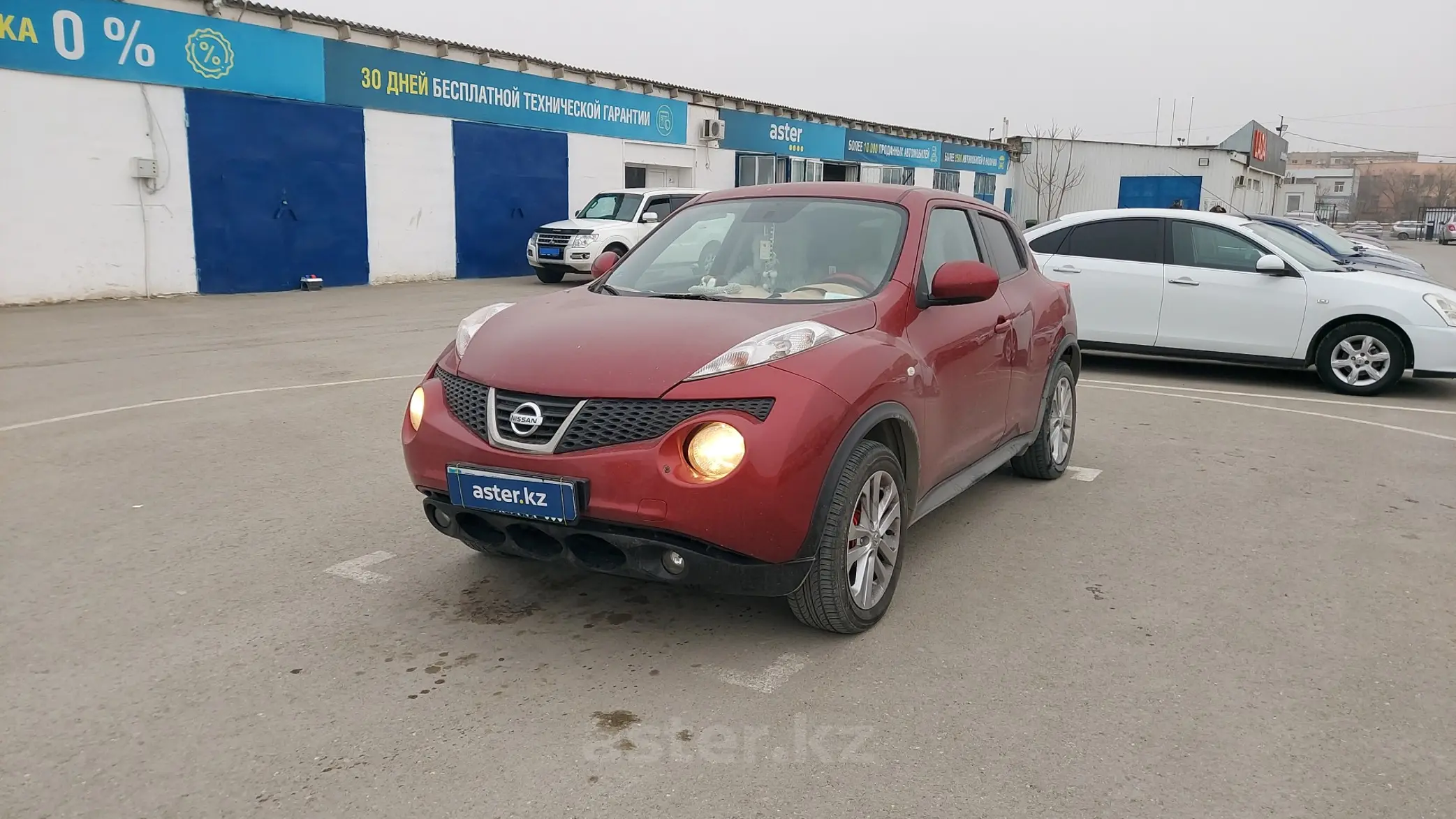 Nissan Juke 2013