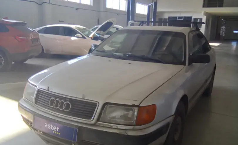 Audi 100 1991 года за 2 000 000 тг. в Петропавловск