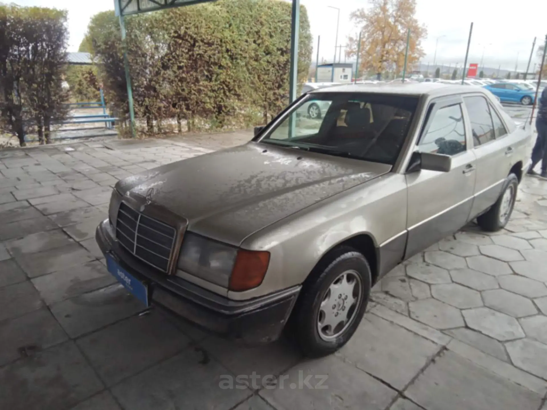 Mercedes-Benz W124 1991