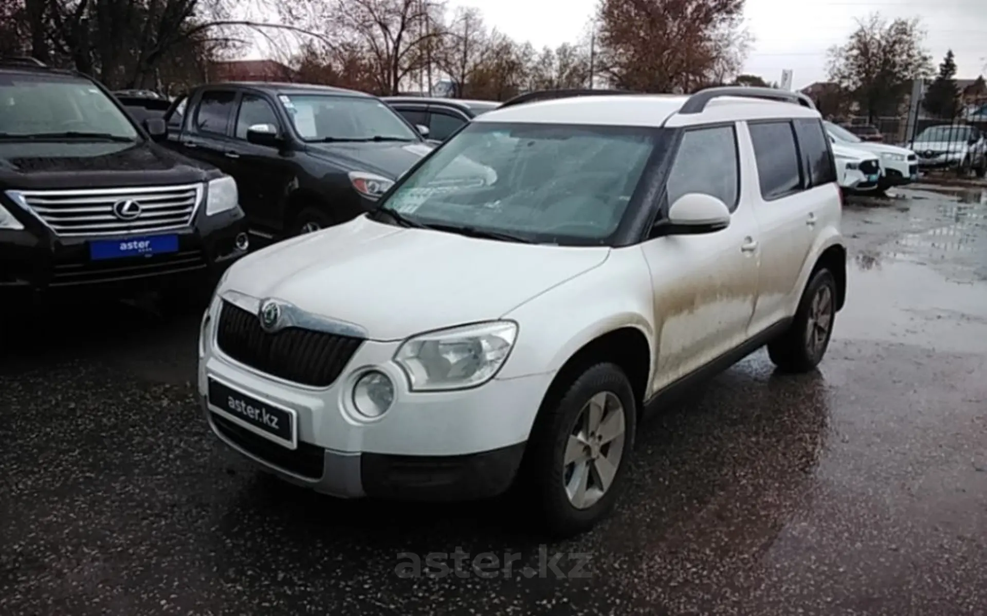 Skoda Yeti 2013