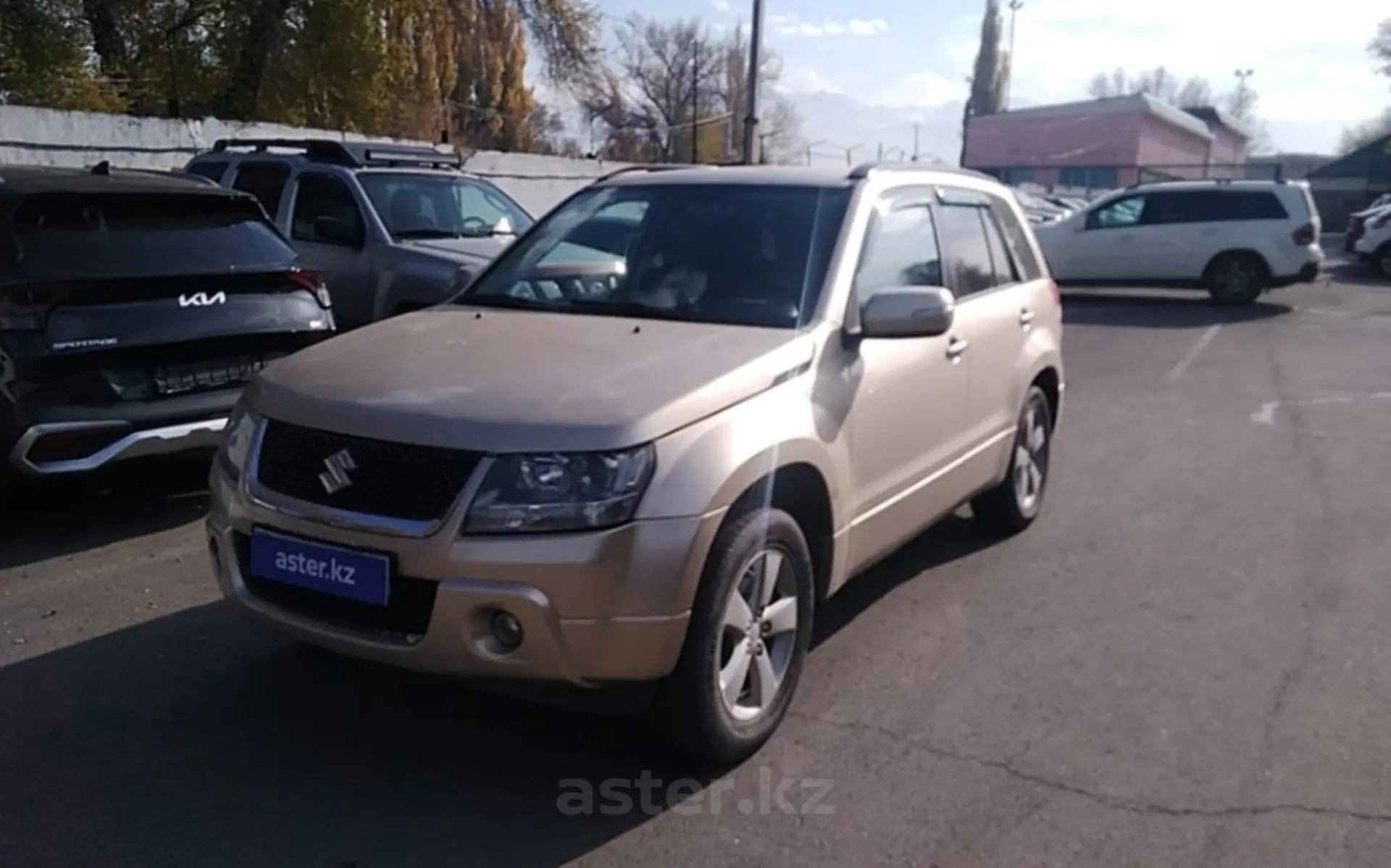 Suzuki Grand Vitara 2008