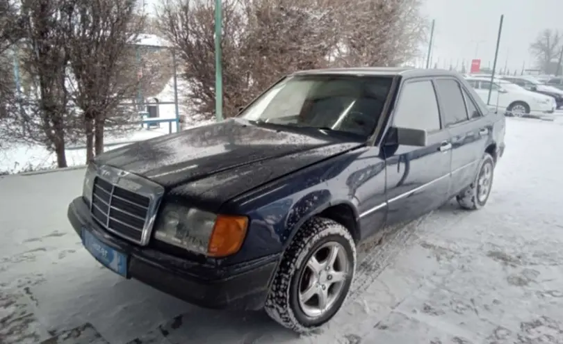 Mercedes-Benz W124 1991 года за 1 000 000 тг. в Талдыкорган