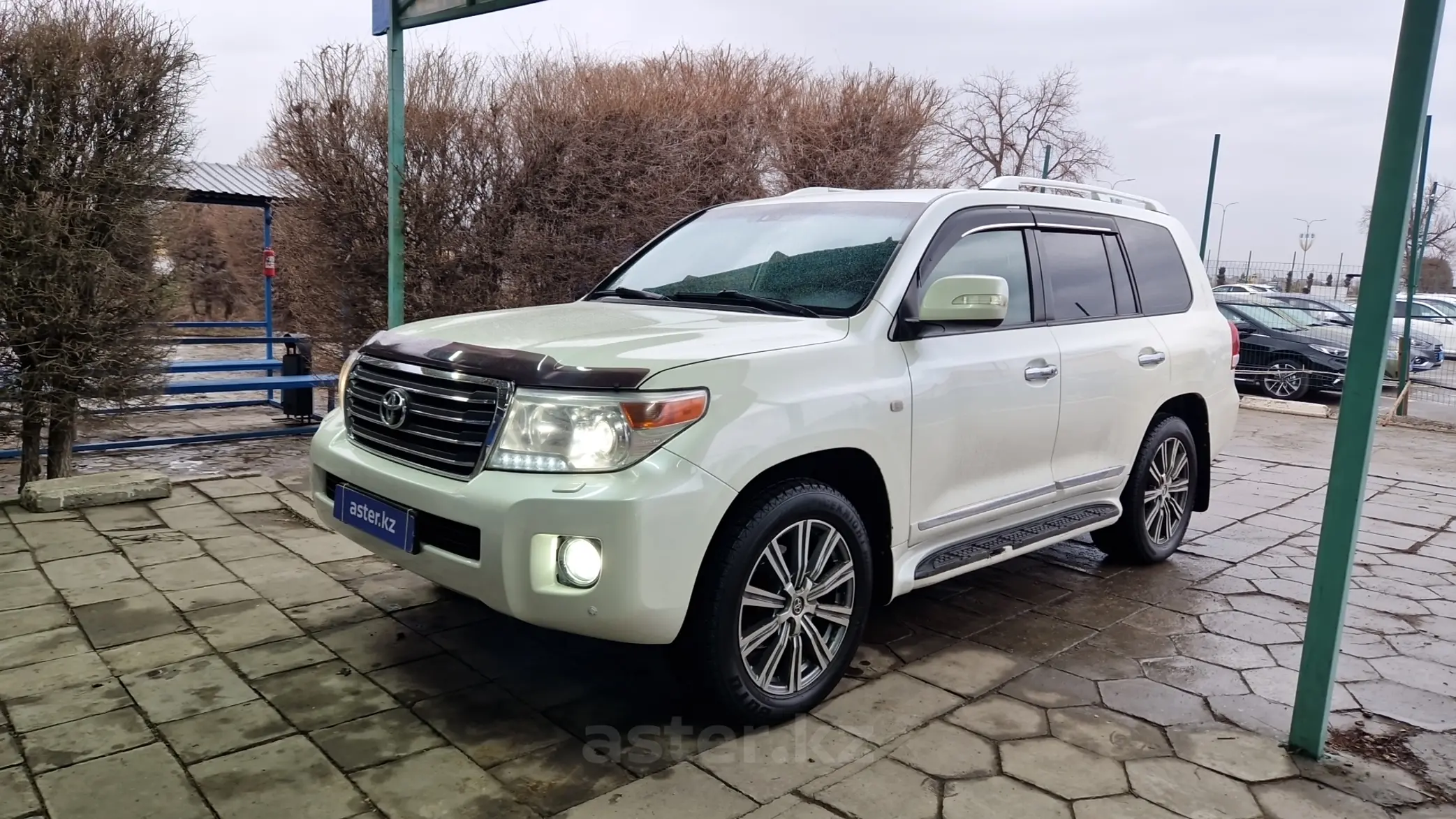 Toyota Land Cruiser 2009