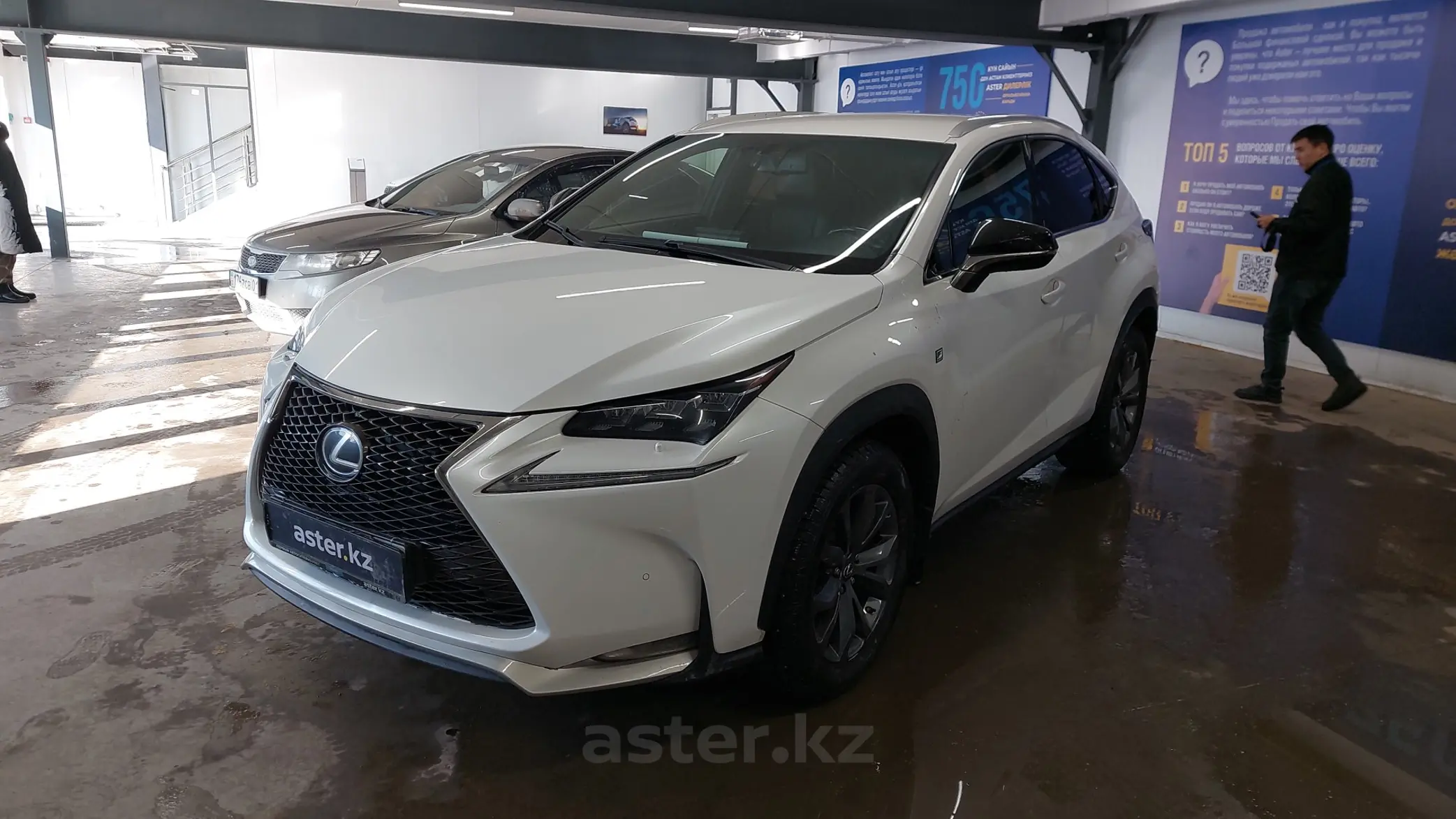 Lexus NX 2015