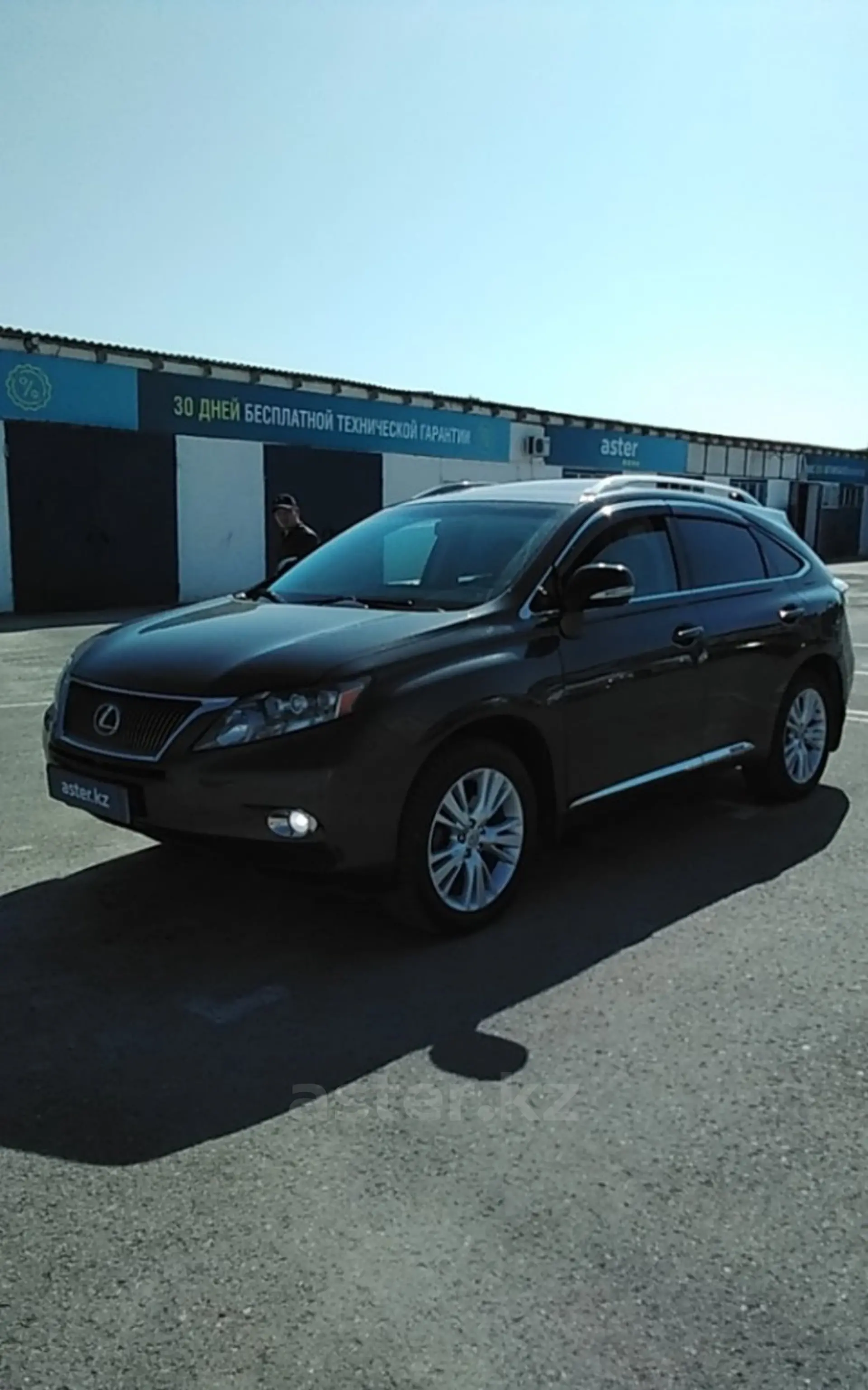 Lexus RX 2010