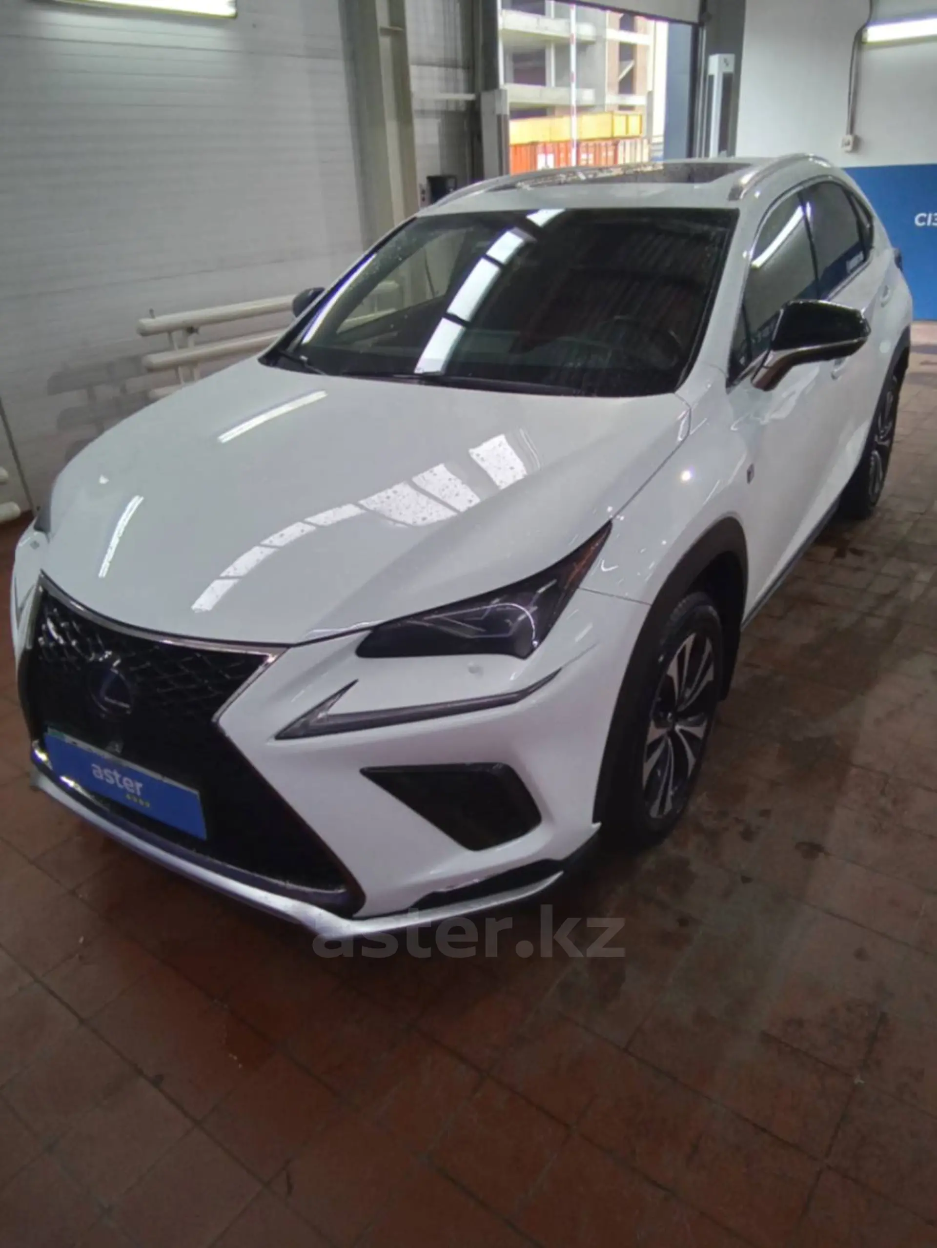 Lexus NX 2019