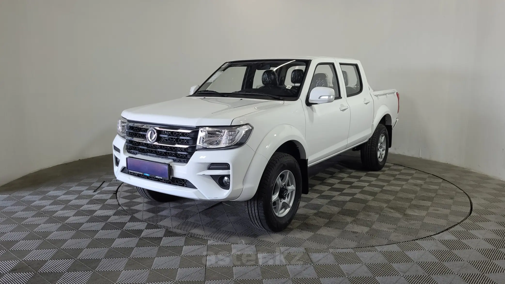 DongFeng Rich 2024