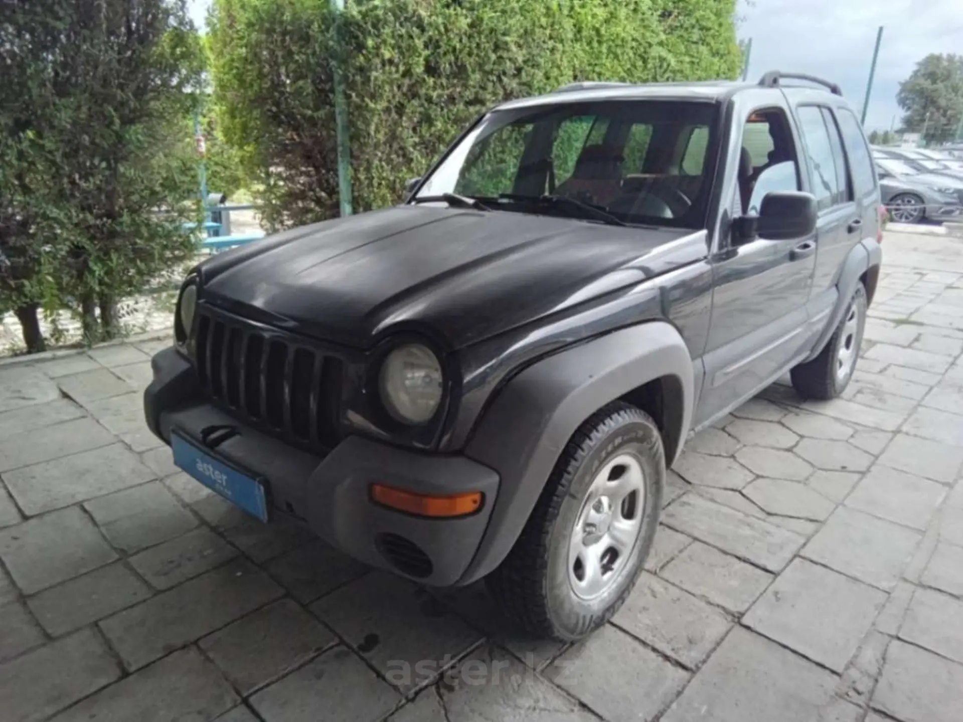 Jeep Liberty (North America) 2003