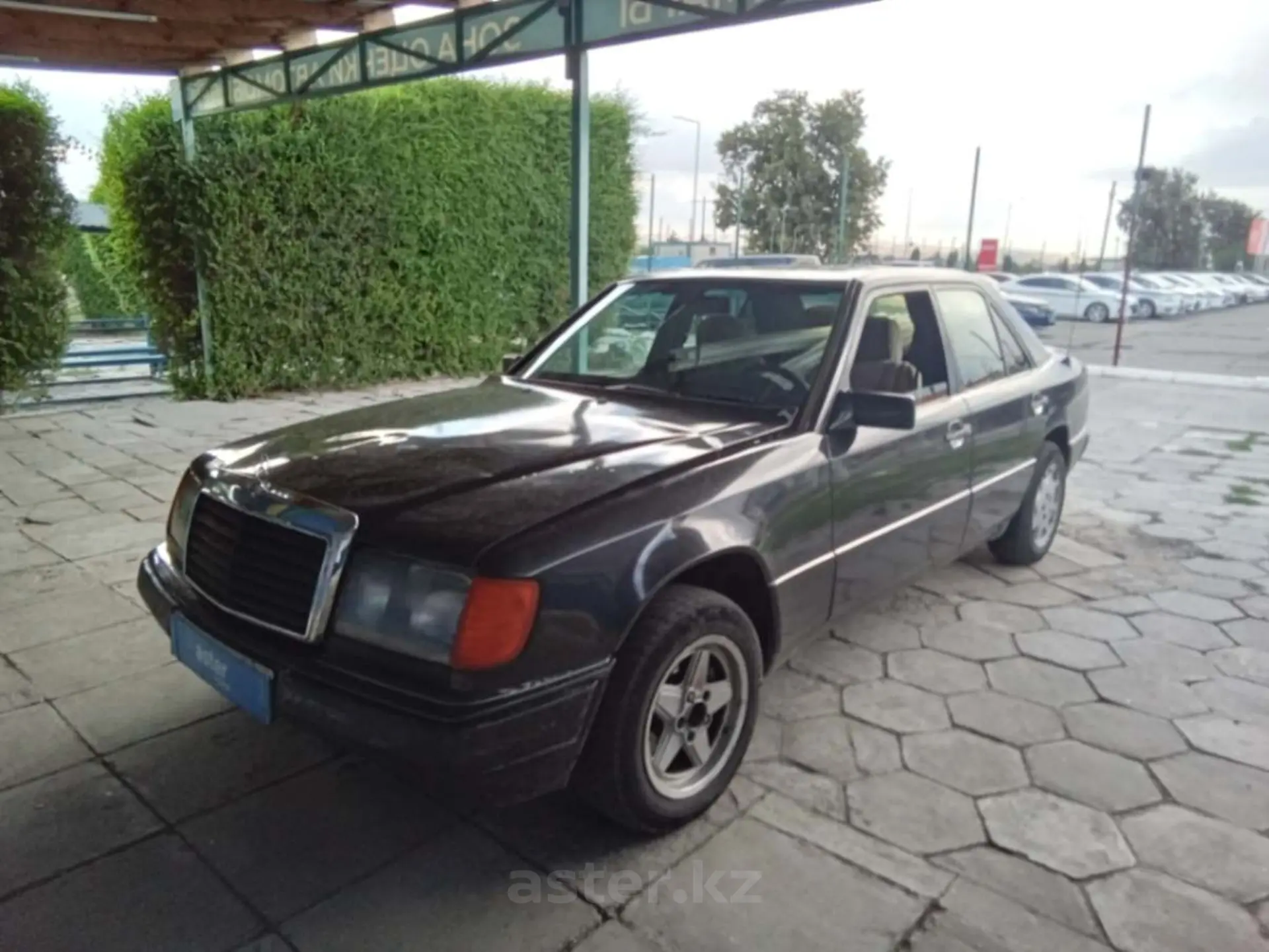 Mercedes-Benz 190 (W201) 1991