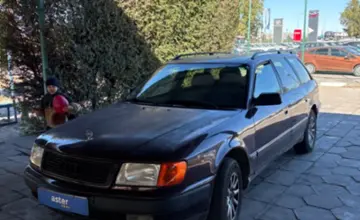 Audi 100 1992 года за 2 000 000 тг. в Талдыкорган фото 1