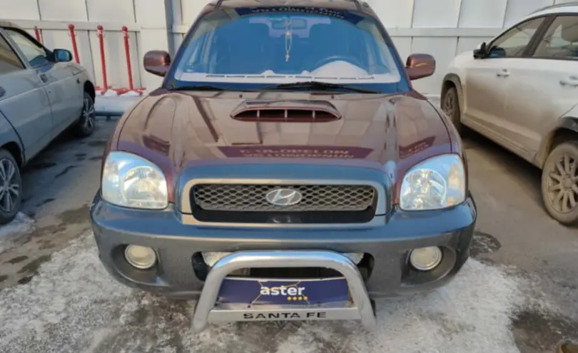Hyundai Santa Fe 2001 года за 3 000 000 тг. в Костанай фото 2
