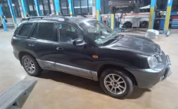 Hyundai Santa Fe 2002 года за 3 500 000 тг. в Караганда фото 4