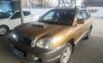 Hyundai Santa Fe 2001 года за 2 500 000 тг. в Алматы фото 1