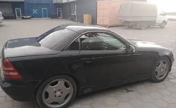 Mercedes-Benz SLK-Класс 2002 года за 4 500 000 тг. в Караганда фото 4