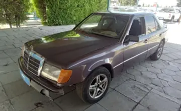Mercedes-Benz W124 1991 года за 1 000 000 тг. в Талдыкорган фото 1