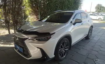 Lexus NX 2024 года за 31 000 000 тг. в Талдыкорган фото 1