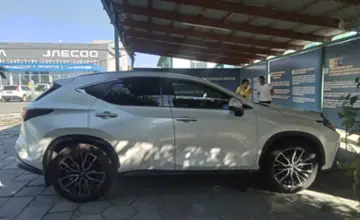 Lexus NX 2024 года за 31 000 000 тг. в Талдыкорган фото 4
