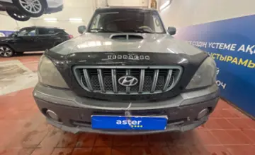 Hyundai Terracan 2005 года за 4 000 000 тг. в Астана фото 2
