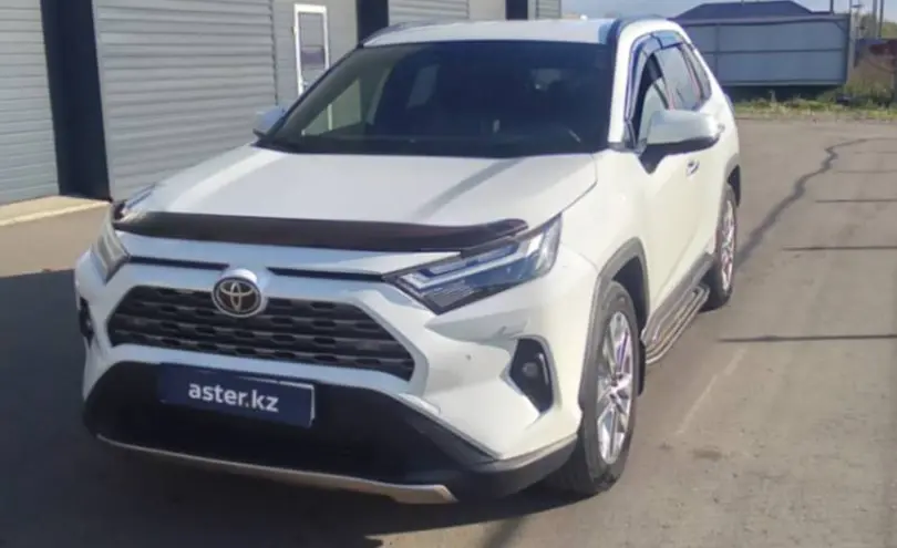 Toyota RAV4 2022 года за 18 000 000 тг. в Петропавловск