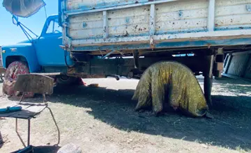 ГАЗ 3307 1989 года за 1 200 000 тг. в Жамбылская область