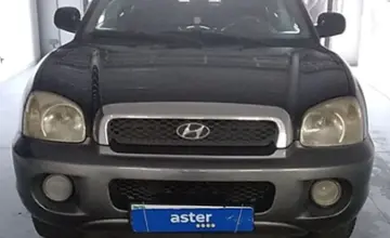 Hyundai Santa Fe 2003 года за 3 000 000 тг. в Павлодар фото 2