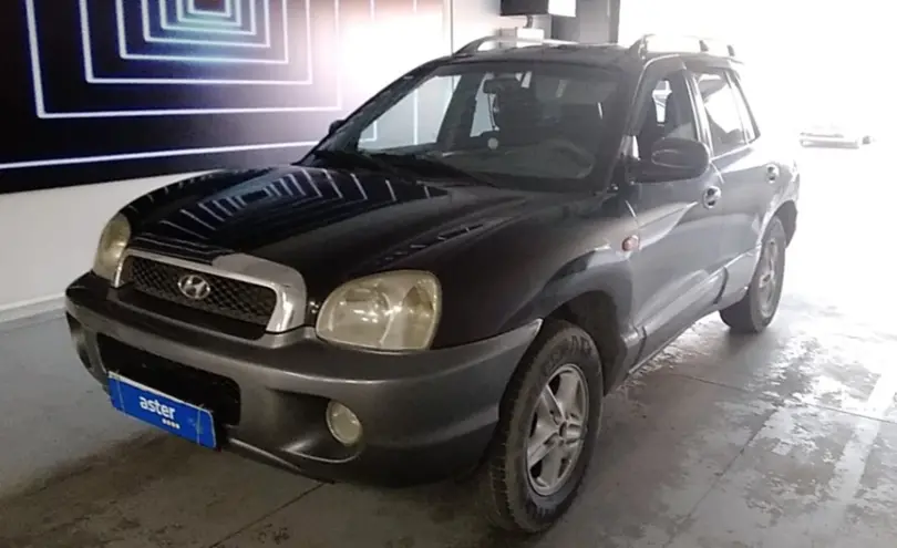 Hyundai Santa Fe 2003 года за 3 000 000 тг. в Павлодар