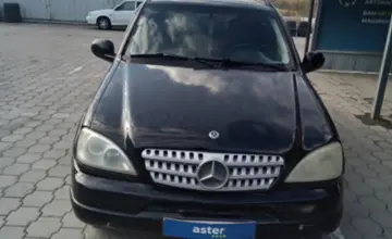 Mercedes-Benz M-Класс 1998 года за 3 800 000 тг. в Караганда фото 2