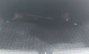 Kia K5 2010 года за 6 890 000 тг. в Астана фото 1