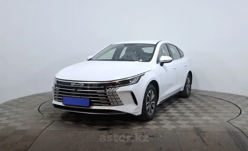 2025 BYD Destroyer 05